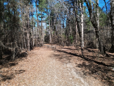 Legacy +/-420-Acre Texas Land Investment Near Texarkana - image 32