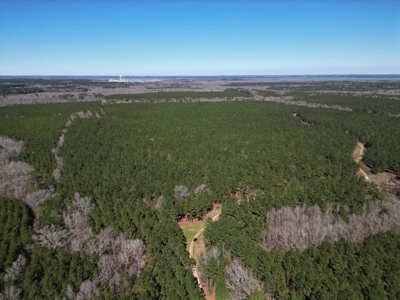 Legacy +/-420-Acre Texas Land Investment Near Texarkana - image 10