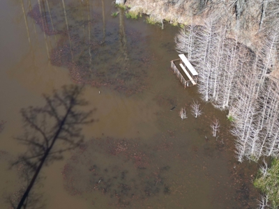 Legacy +/-420-Acre Texas Land Investment Near Texarkana - image 25