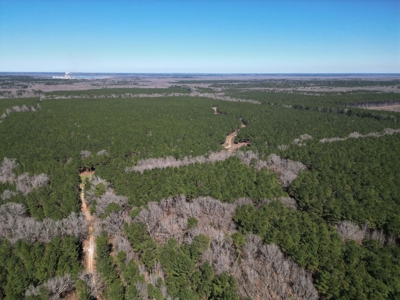 Legacy +/-420-Acre Texas Land Investment Near Texarkana - image 3