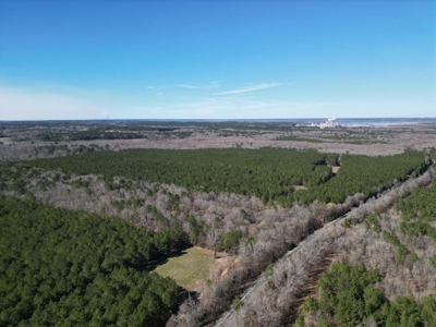 Legacy +/-420-Acre Texas Land Investment Near Texarkana - image 30
