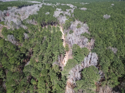 Legacy +/-420-Acre Texas Land Investment Near Texarkana - image 33