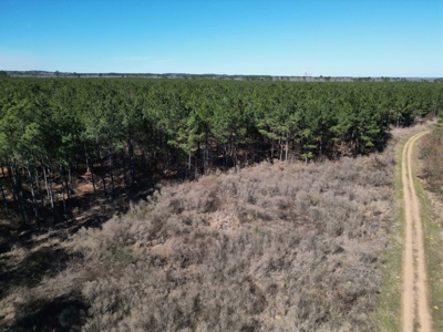 Legacy +/-420-Acre Texas Land Investment Near Texarkana - image 17