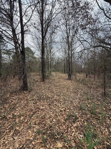 Small Acreage East TX Land for Sale Near Lindale TX in Smith Co - image 12