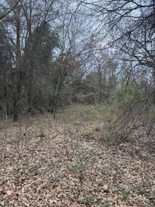 Small Acreage East TX Land for Sale Near Lindale TX in Smith Co - image 15