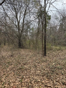 Small Acreage East TX Land for Sale Near Lindale TX in Smith Co - image 2