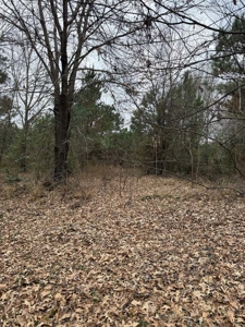 Small Acreage East TX Land for Sale Near Lindale TX in Smith Co - image 14