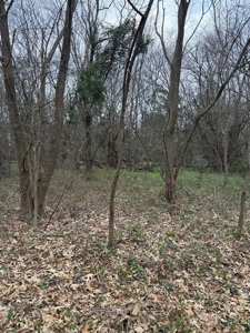 Small Acreage East TX Land for Sale Near Lindale TX in Smith Co - image 13