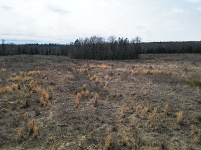 75.8 Acres in Linden: Hwy 8 Frontage & Beach Creek Views - image 10