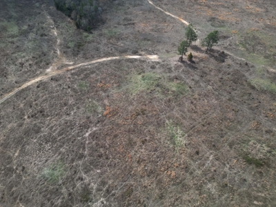 75.8 Acres in Linden: Hwy 8 Frontage & Beach Creek Views - image 6