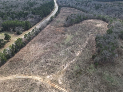 75.8 Acres in Linden: Hwy 8 Frontage & Beach Creek Views - image 8