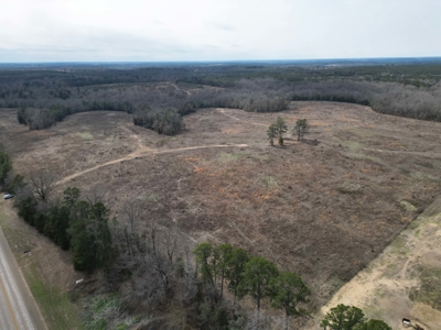 75.8 Acres in Linden: Hwy 8 Frontage & Beach Creek Views - image 5