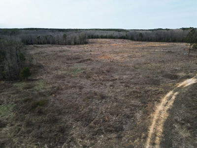 75.8 Acres in Linden: Hwy 8 Frontage & Beach Creek Views - image 3