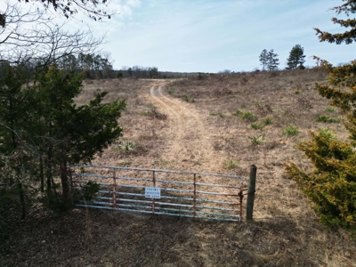 75.8 Acres in Linden: Hwy 8 Frontage & Beach Creek Views - image 2