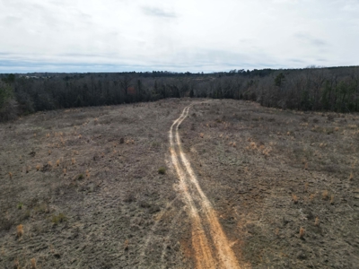 75.8 Acres in Linden: Hwy 8 Frontage & Beach Creek Views - image 9