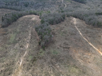75.8 Acres in Linden: Hwy 8 Frontage & Beach Creek Views - image 7