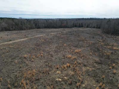 75.8 Acres in Linden: Hwy 8 Frontage & Beach Creek Views - image 11
