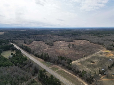 75.8 Acres in Linden: Hwy 8 Frontage & Beach Creek Views - image 4
