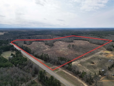 75.8 Acres in Linden: Hwy 8 Frontage & Beach Creek Views - image 1