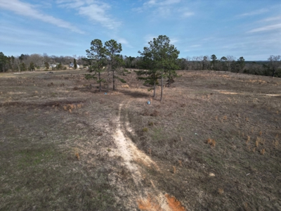 75.8 Acres in Linden: Hwy 8 Frontage & Beach Creek Views - image 12