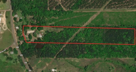 East TX Country Home on acreage with Multiple Shops – Bivins, TX - image 3