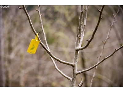 Private 6-Acre Retreat Near Sunset Falls - image 40