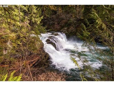 Private 6-Acre Retreat Near Sunset Falls - image 38