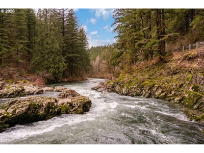 Private 6-Acre Retreat Near Sunset Falls - image 39