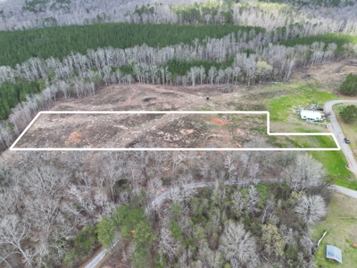 2.5 Acre Homesite Near Marion In Perry County, AL. - image 3