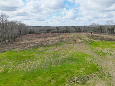 2.5 Acre Homesite Near Marion In Perry County, AL. - image 2
