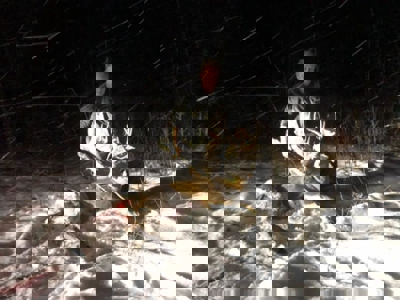 417 Acres of Whitetail Hunting Land for Sale in Kittson CO, MN - image 8