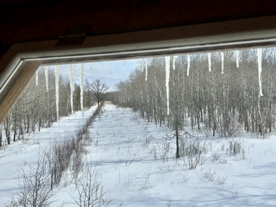 417 Acres of Whitetail Hunting Land for Sale in Kittson CO, MN - image 3