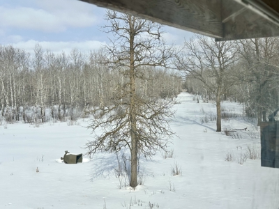 417 Acres of Whitetail Hunting Land for Sale in Kittson CO, MN - image 2