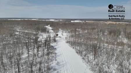 417 Acres of Whitetail Hunting Land for Sale in Kittson CO, MN - image 36