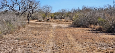 50 acers of South Texas Brush Electricity Water Well - image 7