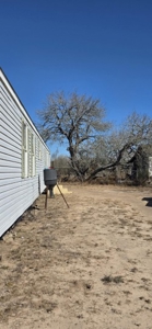 50 acers of South Texas Brush Electricity Water Well - image 3