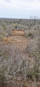 50 acers of South Texas Brush Electricity Water Well - image 8