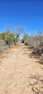 50 acers of South Texas Brush Electricity Water Well - image 11