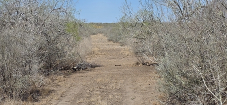 50 acers of South Texas Brush Electricity Water Well - image 22