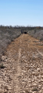 50 acers of South Texas Brush Electricity Water Well - image 14