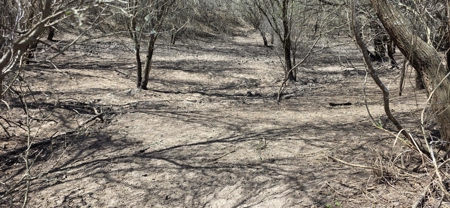 50 acers of South Texas Brush Electricity Water Well - image 21