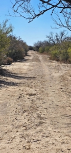 50 acers of South Texas Brush Electricity Water Well - image 12