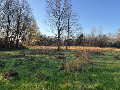 Autauga County | 106 Acre Tract - image 3
