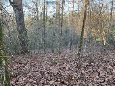 Autauga County | 106 Acre Tract - image 12