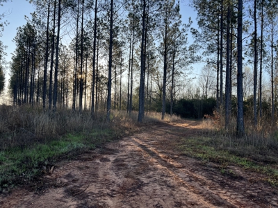Autauga County | 106 Acre Tract - image 6
