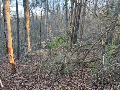 Autauga County | 106 Acre Tract - image 9
