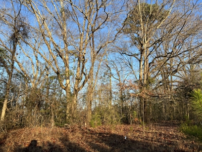 Autauga County | 106 Acre Tract - image 10