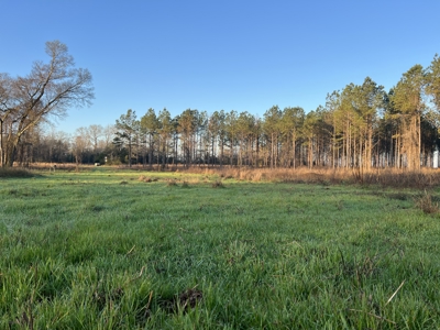 Autauga County | 106 Acre Tract - image 2