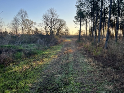 Autauga County | 106 Acre Tract - image 16