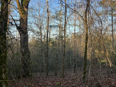 Autauga County | 106 Acre Tract - image 11